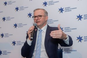 Prime Minister Anthony Albanese announces dates for Jobs and Skills summit